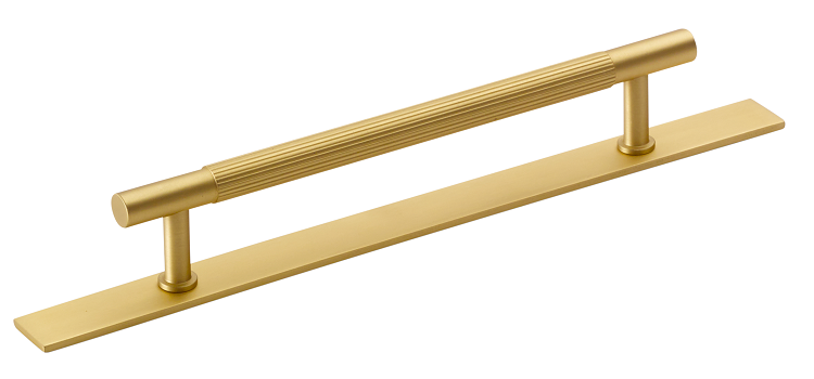 Back Plate Collection 160mm